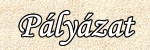 Antalnapi p�lyl�zat 2011